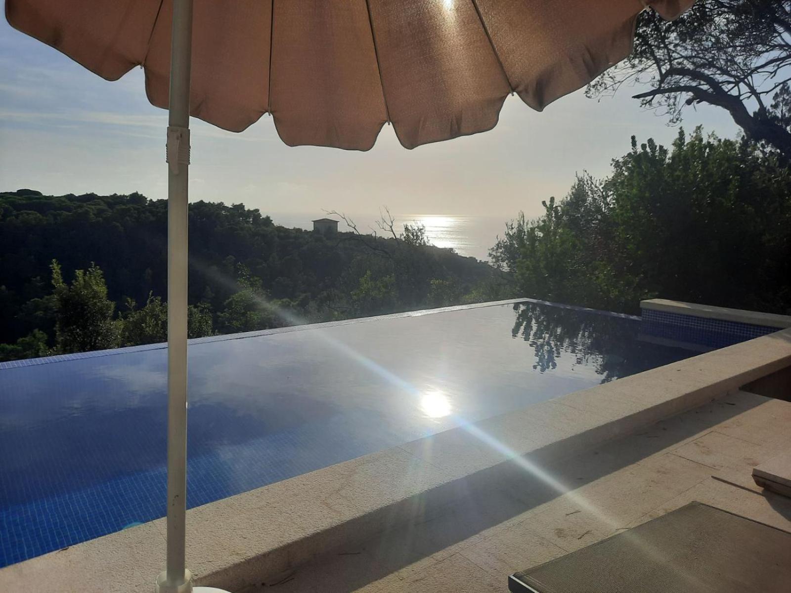 Mongoose Apartment Herceg Novi Exterior photo